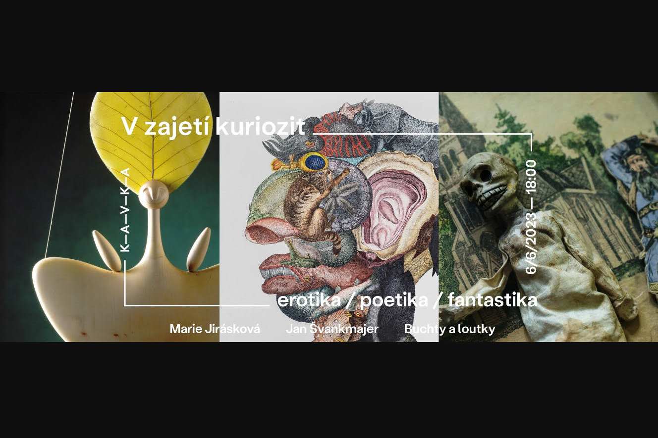 Výstava V zajetí kuriozit