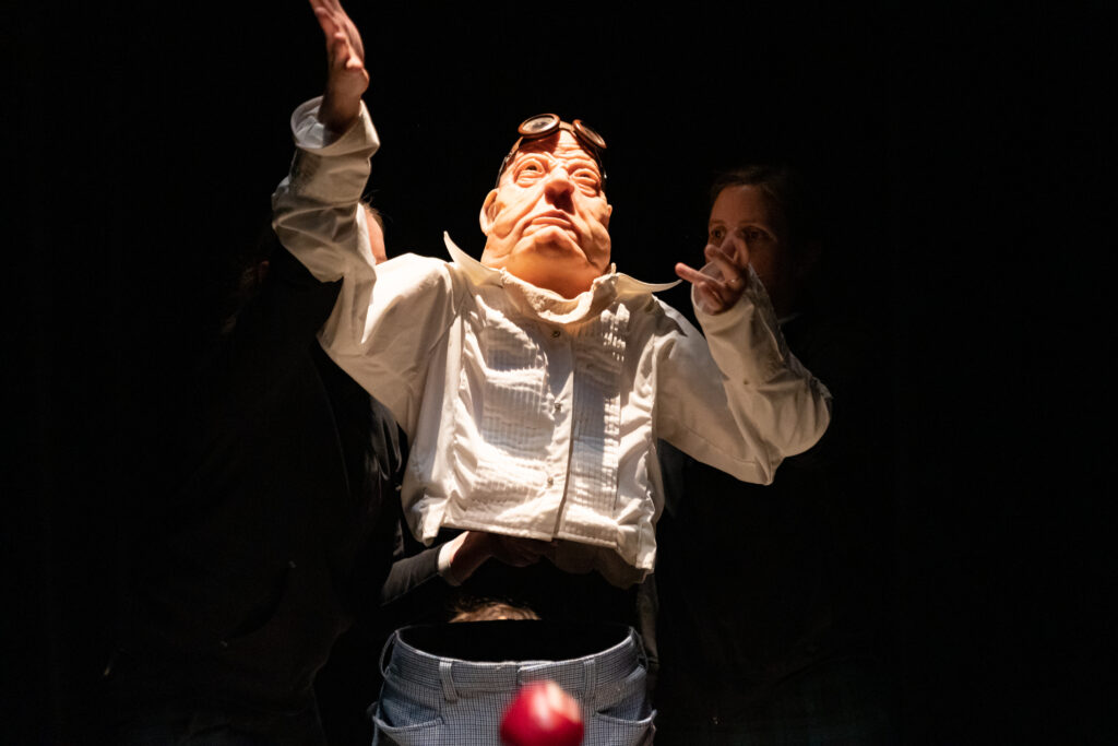 Projets de l’ombre / A as Animal