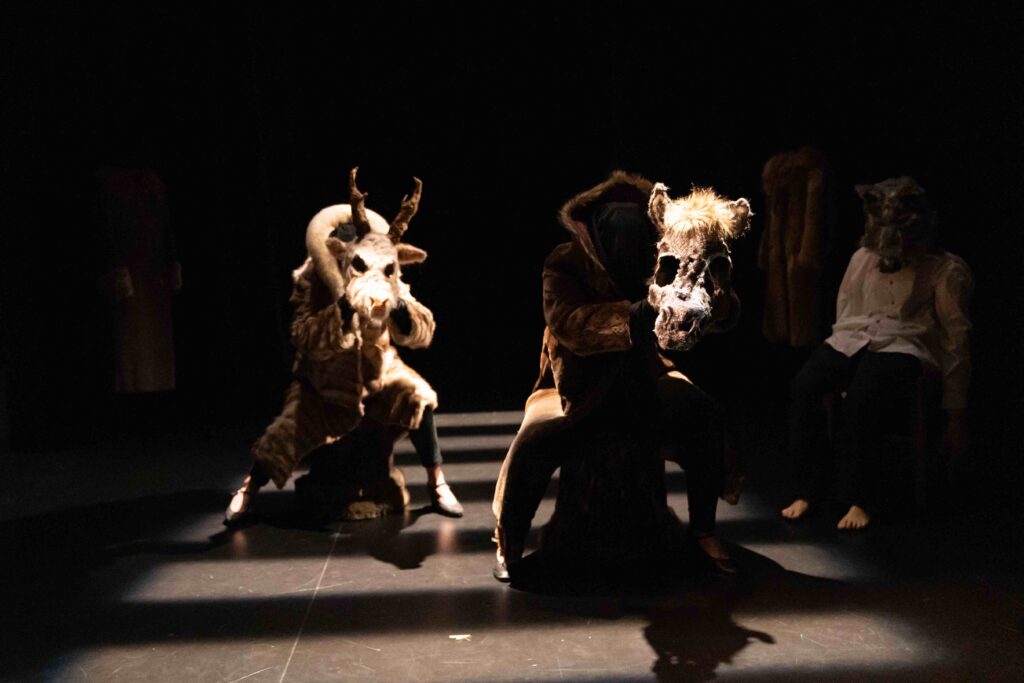 Projets de l’ombre / A as Animal