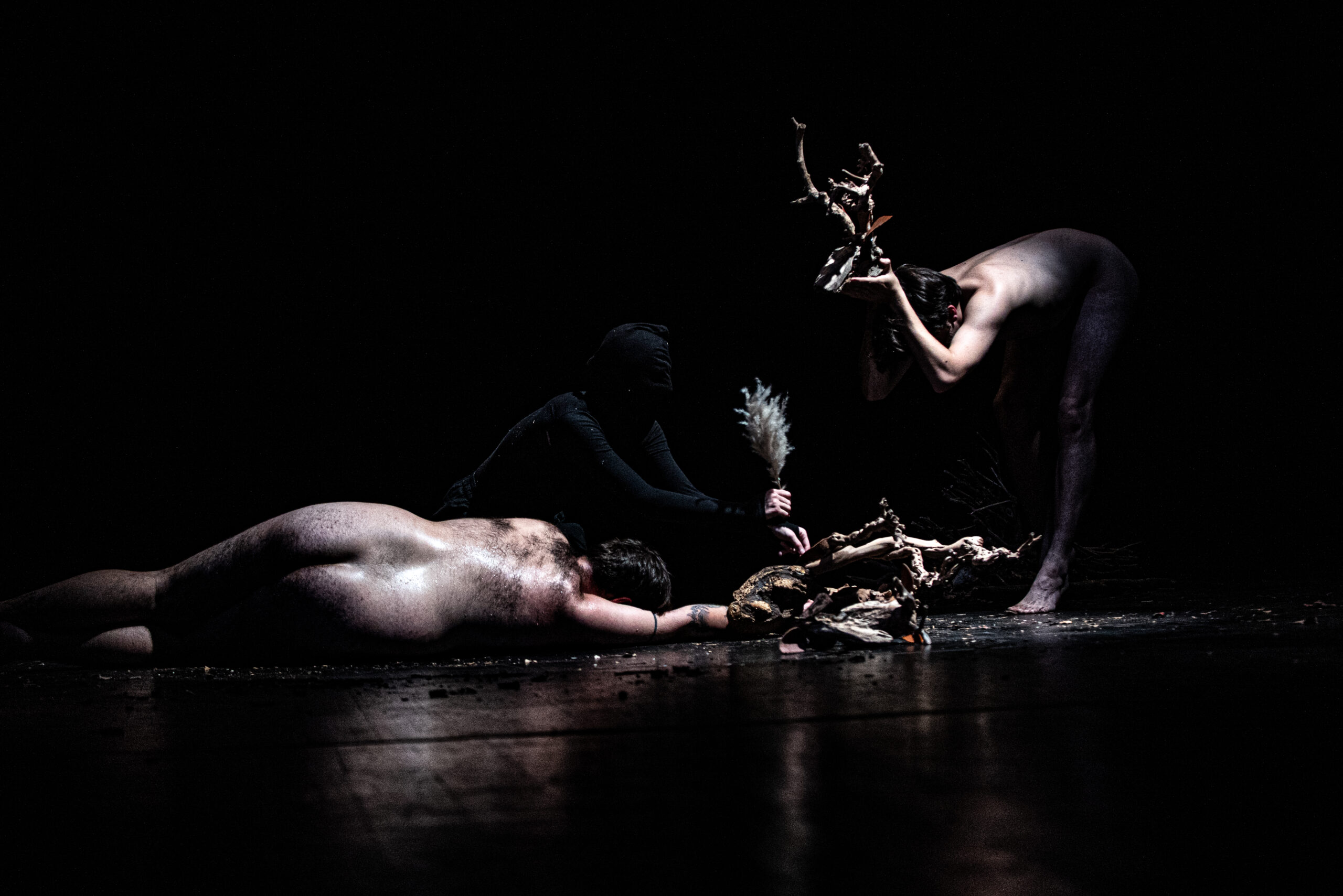 Korene & Kosti, VŠMU / Sen o pralese (foto Rafał Skwarek)