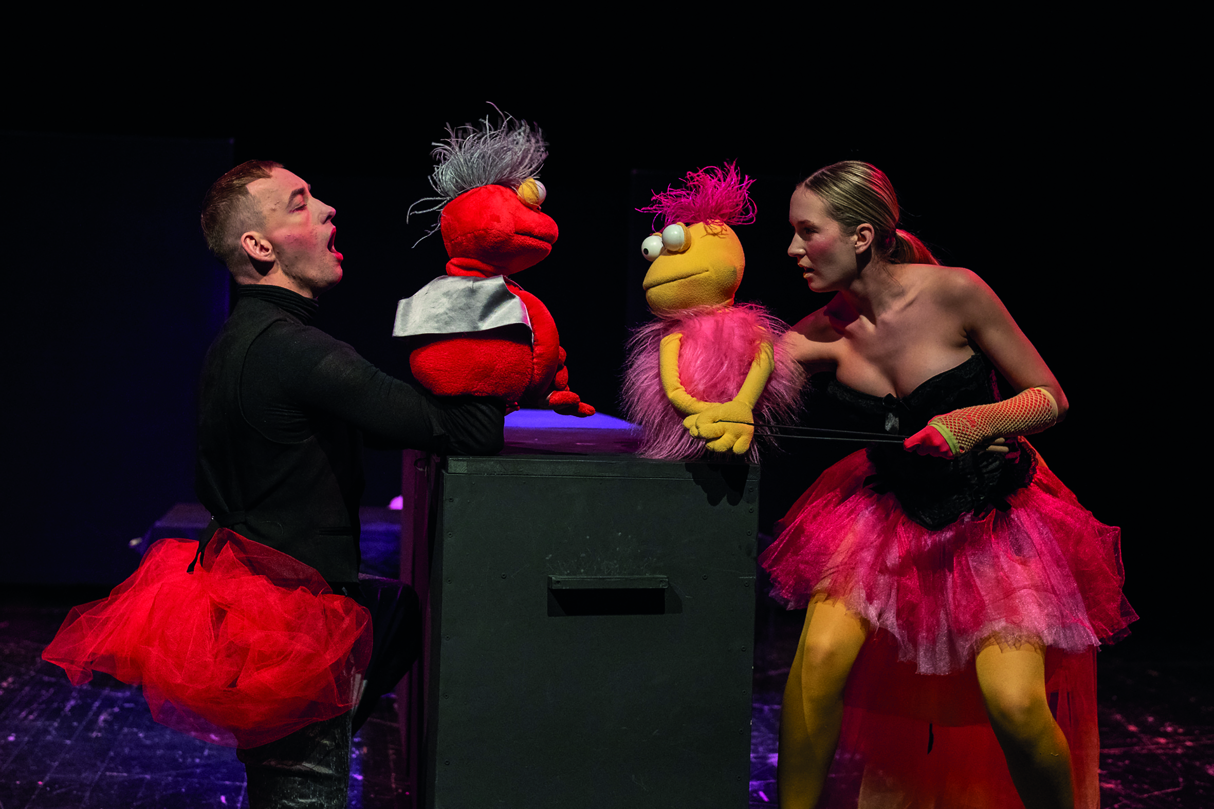 Wydział Lalkarski we Wrocławiu / Ivona, princezna Burgundská