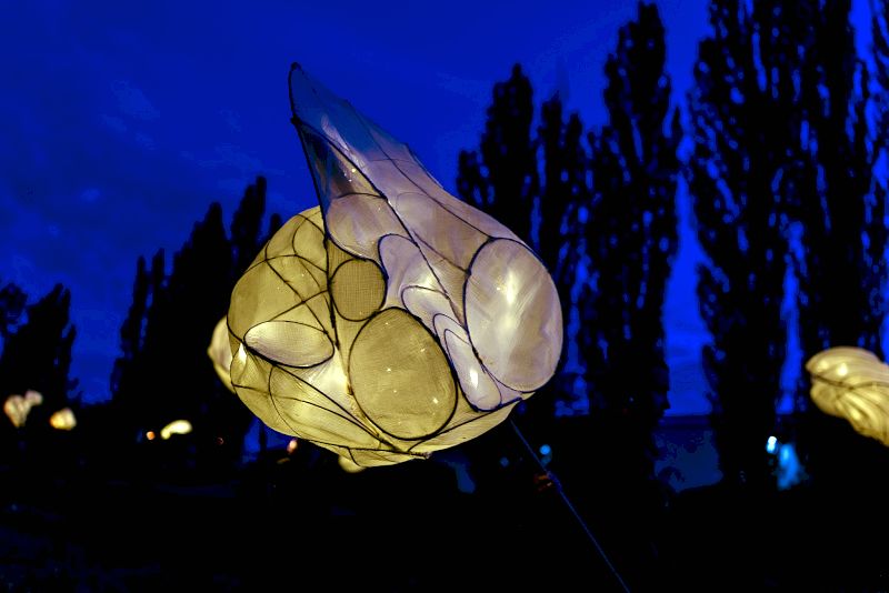 Proudy světla CAMP / (c) Bettula Huclová