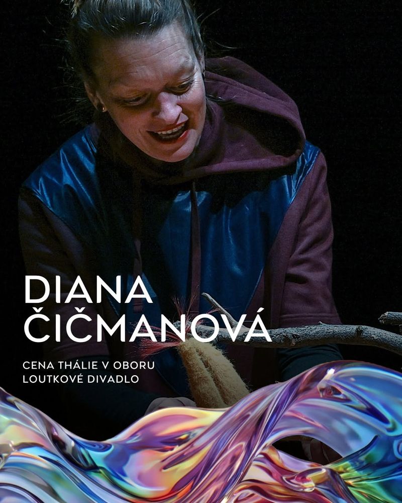 Diana Čičmanová / Naivní divadlo Liberec